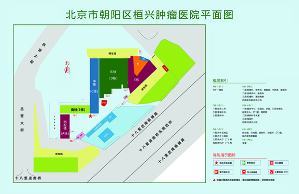 插比比真爽北京市朝阳区桓兴肿瘤医院平面图